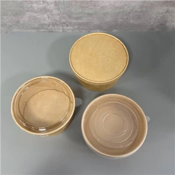 Você pode colocar a sopa no microondas em uma tigela de papel